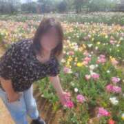 ヒメ日記 2025/04/19 09:59 投稿 くれは 丸妻 横浜本店