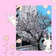 ヒメ日記 2025/01/25 07:21 投稿 和(のどか) 立川熟女の秘密基地