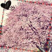 ヒメ日記 2025/02/27 07:39 投稿 和(のどか) 立川人妻研究会