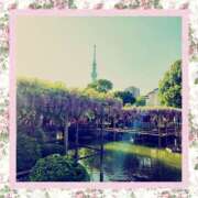 和(のどか) おはようございます 立川人妻研究会