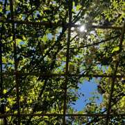 ヒメ日記 2025/05/02 08:30 投稿 高橋　美幸 えっちなおくさん -岩国・周南・防府-