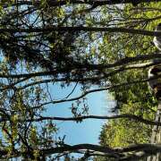 ヒメ日記 2025/06/07 18:26 投稿 高橋　美幸 えっちなおくさん -岩国・周南・防府-