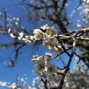 ヒメ日記 2025/06/09 00:38 投稿 高橋　美幸 えっちなおくさん -岩国・周南・防府-