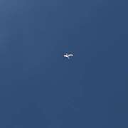 ヒメ日記 2025/08/02 15:38 投稿 高橋　美幸 えっちなおくさん -岩国・周南・防府-