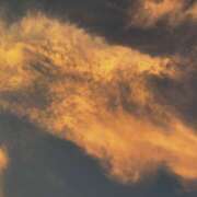 ヒメ日記 2025/08/07 19:50 投稿 高橋　美幸 えっちなおくさん -岩国・周南・防府-