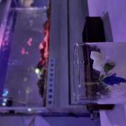 ヒメ日記 2025/10/24 09:16 投稿 高橋　美幸 えっちなおくさん -岩国・周南・防府-