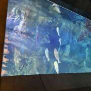 ヒメ日記 2025/11/11 12:56 投稿 高橋　美幸 えっちなおくさん -岩国・周南・防府-