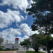 ヒメ日記 2025/06/09 10:18 投稿 兼石 みわ HANA-okinawa-