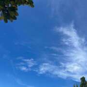 ヒメ日記 2025/06/28 13:48 投稿 兼石 みわ HANA-okinawa-