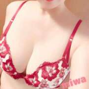 ヒメ日記 2026/03/02 19:18 投稿 兼石 みわ HANA-okinawa-