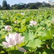 ヒメ日記 2026/04/04 11:12 投稿 西川 ママの婚活 CHIBA