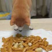 ヒメ日記 2024/12/29 22:24 投稿 あんり 美熟女倶楽部Hip's 春日部店