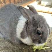 ヒメ日記 2025/01/05 17:14 投稿 あんり 美熟女倶楽部Hip's 春日部店