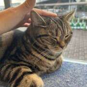 ヒメ日記 2025/01/07 17:44 投稿 あんり 美熟女倶楽部Hip's 春日部店