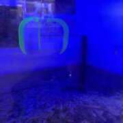 ヒメ日記 2025/03/16 22:44 投稿 あんり 美熟女倶楽部Hip's 春日部店