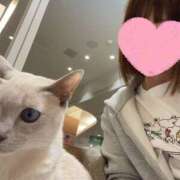 ヒメ日記 2025/04/16 22:34 投稿 あんり 美熟女倶楽部Hip's 春日部店