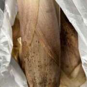 ヒメ日記 2025/05/05 18:04 投稿 あんり 美熟女倶楽部Hip's 春日部店