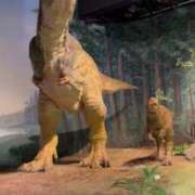 ヒメ日記 2025/05/31 18:06 投稿 あんり 美熟女倶楽部Hip's 春日部店