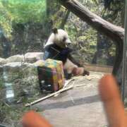 ヒメ日記 2025/08/26 15:14 投稿 あんり 美熟女倶楽部Hip's 春日部店