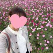 ヒメ日記 2025/10/29 17:42 投稿 あんり 美熟女倶楽部Hip's 春日部店