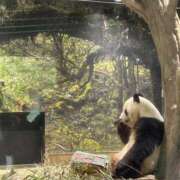 ヒメ日記 2026/01/27 18:22 投稿 あんり 美熟女倶楽部Hip's 春日部店