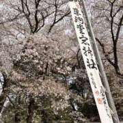 ヒメ日記 2026/04/05 14:22 投稿 あんり 美熟女倶楽部Hip's 春日部店