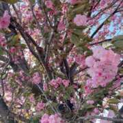 ヒメ日記 2026/04/12 18:52 投稿 あんり 美熟女倶楽部Hip's 春日部店