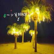 ヒメ日記 2024/12/14 18:11 投稿 ゆきの しろうさぎ