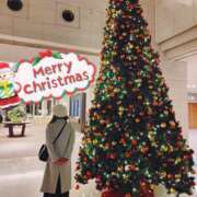 ヒメ日記 2024/12/16 17:11 投稿 ゆきの しろうさぎ