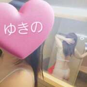 ヒメ日記 2025/02/19 21:51 投稿 ゆきの しろうさぎ