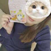 ヒメ日記 2025/02/22 18:21 投稿 ゆきの しろうさぎ