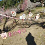 ヒメ日記 2025/02/26 16:53 投稿 ゆきの しろうさぎ