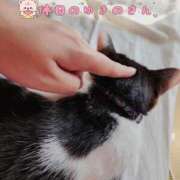 ヒメ日記 2025/03/02 15:23 投稿 ゆきの しろうさぎ