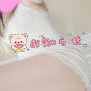 ヒメ日記 2025/03/13 07:13 投稿 ゆきの しろうさぎ