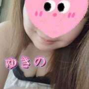 ヒメ日記 2025/03/13 17:13 投稿 ゆきの しろうさぎ