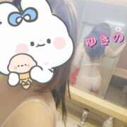 ヒメ日記 2025/03/17 15:43 投稿 ゆきの しろうさぎ