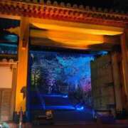 ヒメ日記 2025/03/31 16:03 投稿 ゆきの しろうさぎ