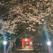 ヒメ日記 2025/04/01 15:13 投稿 ゆきの しろうさぎ