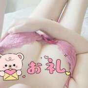 ヒメ日記 2025/04/02 13:43 投稿 ゆきの しろうさぎ