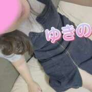 ヒメ日記 2025/06/20 19:33 投稿 ゆきの しろうさぎ