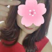 ヒメ日記 2025/07/04 19:03 投稿 ゆきの しろうさぎ