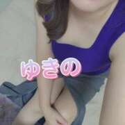 ヒメ日記 2025/07/10 19:23 投稿 ゆきの しろうさぎ