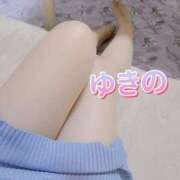 ヒメ日記 2025/07/11 19:33 投稿 ゆきの しろうさぎ