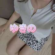 ヒメ日記 2025/09/27 21:13 投稿 ゆきの しろうさぎ