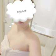 ヒメ日記 2025/11/26 06:13 投稿 ゆきの しろうさぎ