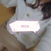 ヒメ日記 2025/11/27 19:13 投稿 ゆきの しろうさぎ