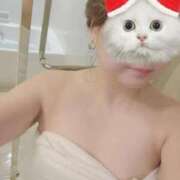 ヒメ日記 2025/12/25 20:03 投稿 ゆきの しろうさぎ