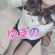 ヒメ日記 2025/12/29 19:53 投稿 ゆきの しろうさぎ