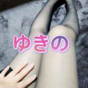 ヒメ日記 2026/01/31 20:53 投稿 ゆきの しろうさぎ