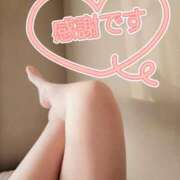 ヒメ日記 2026/02/14 15:13 投稿 ゆきの しろうさぎ